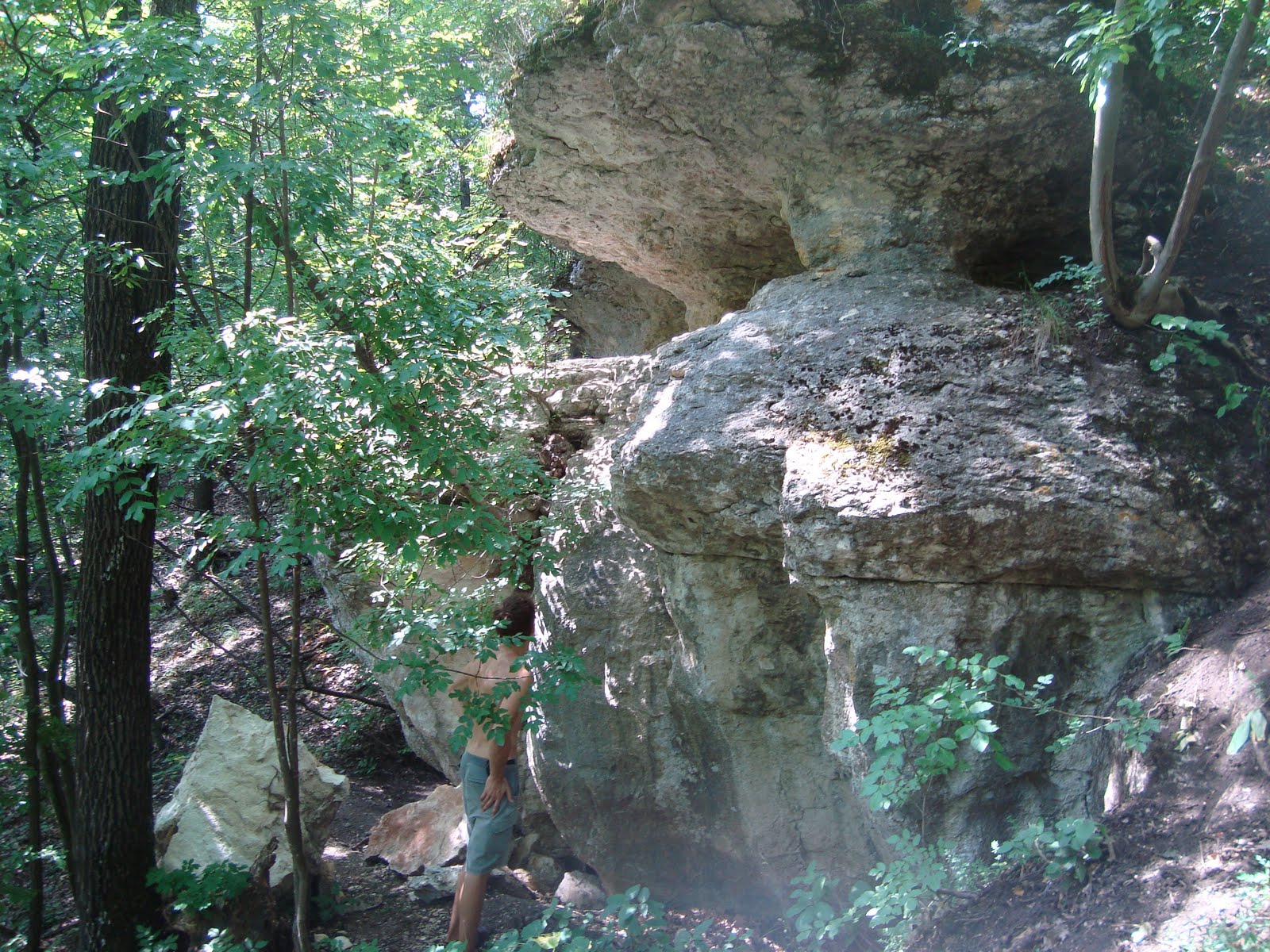 [DSC05520.JPG]