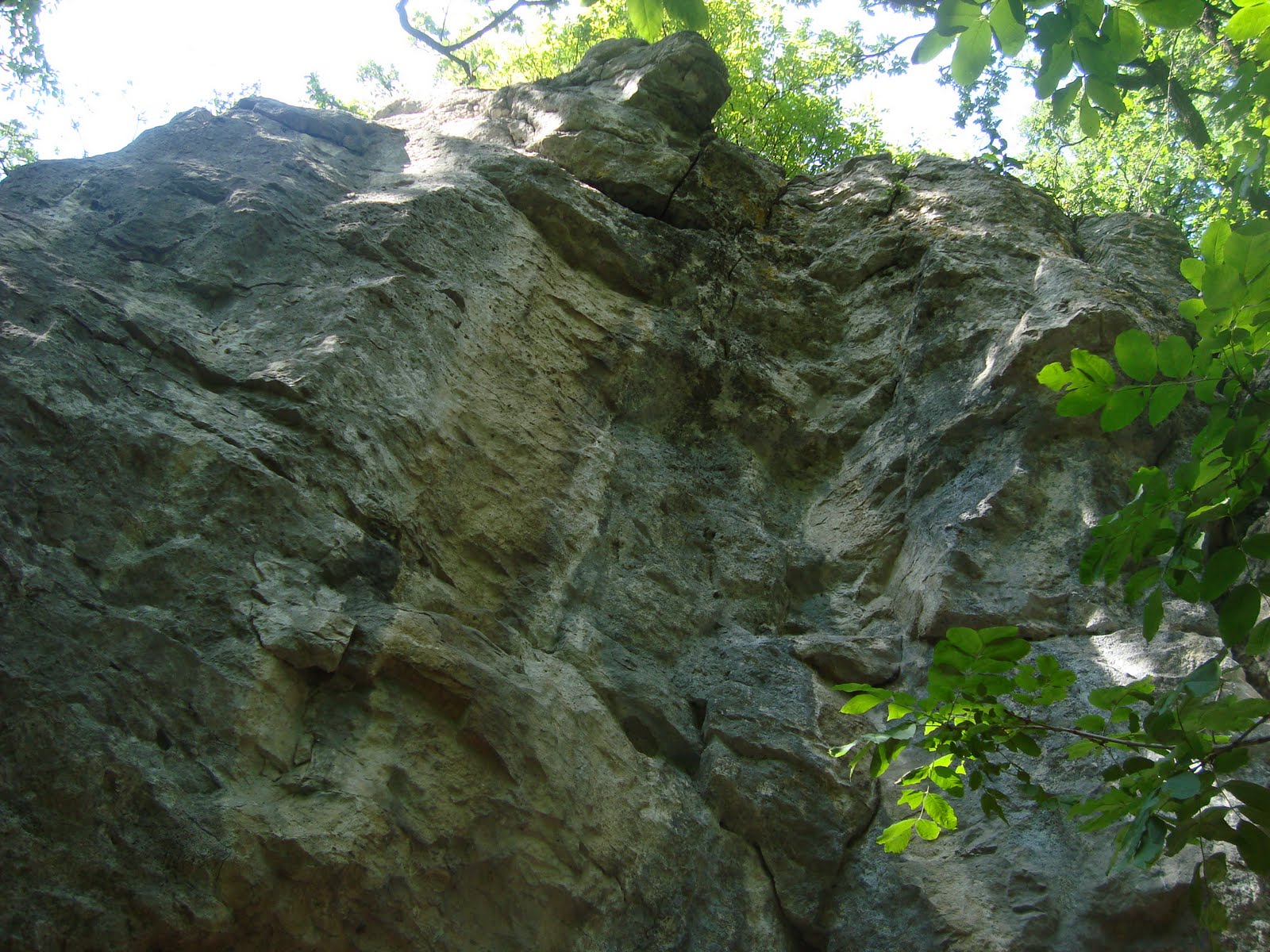 [DSC05535.JPG]