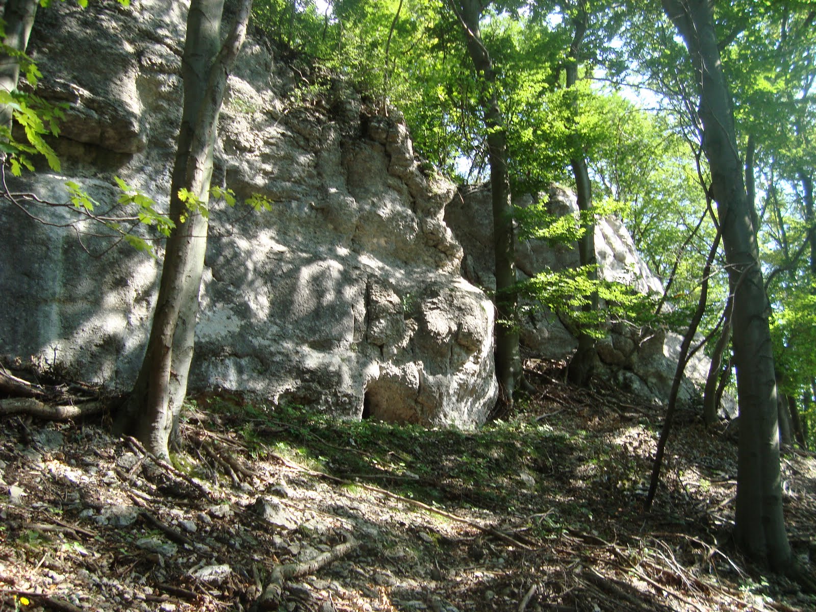 [DSC05607.JPG]