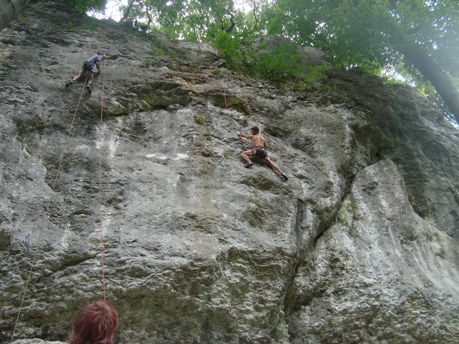 [DSC05727.JPG]