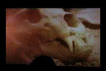 [trailer027_small.jpeg]