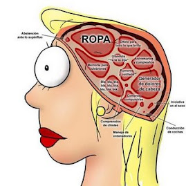 Premio Recibido "Cerebro Femenino"