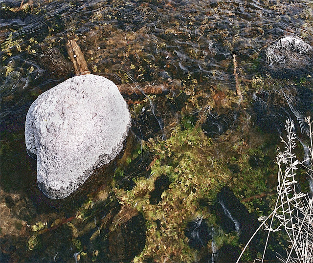 Fly Fishing In Yellowstone National Park 06/01/2012 07/01/2012