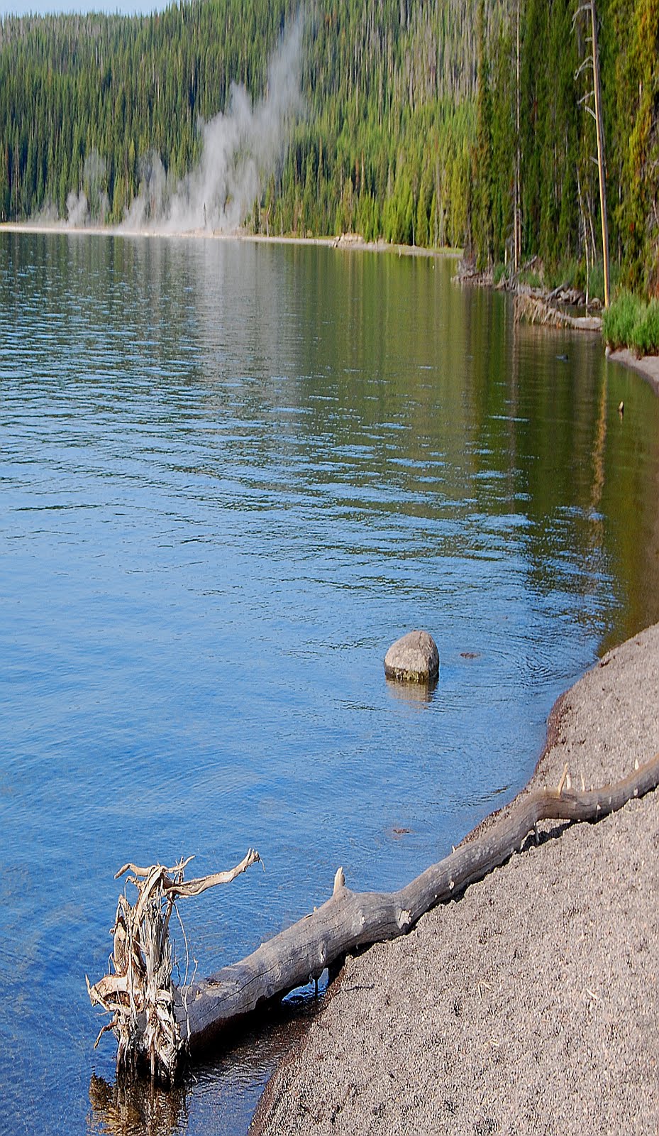 Fly Fishing In Yellowstone National Park Gibbon Road Progress