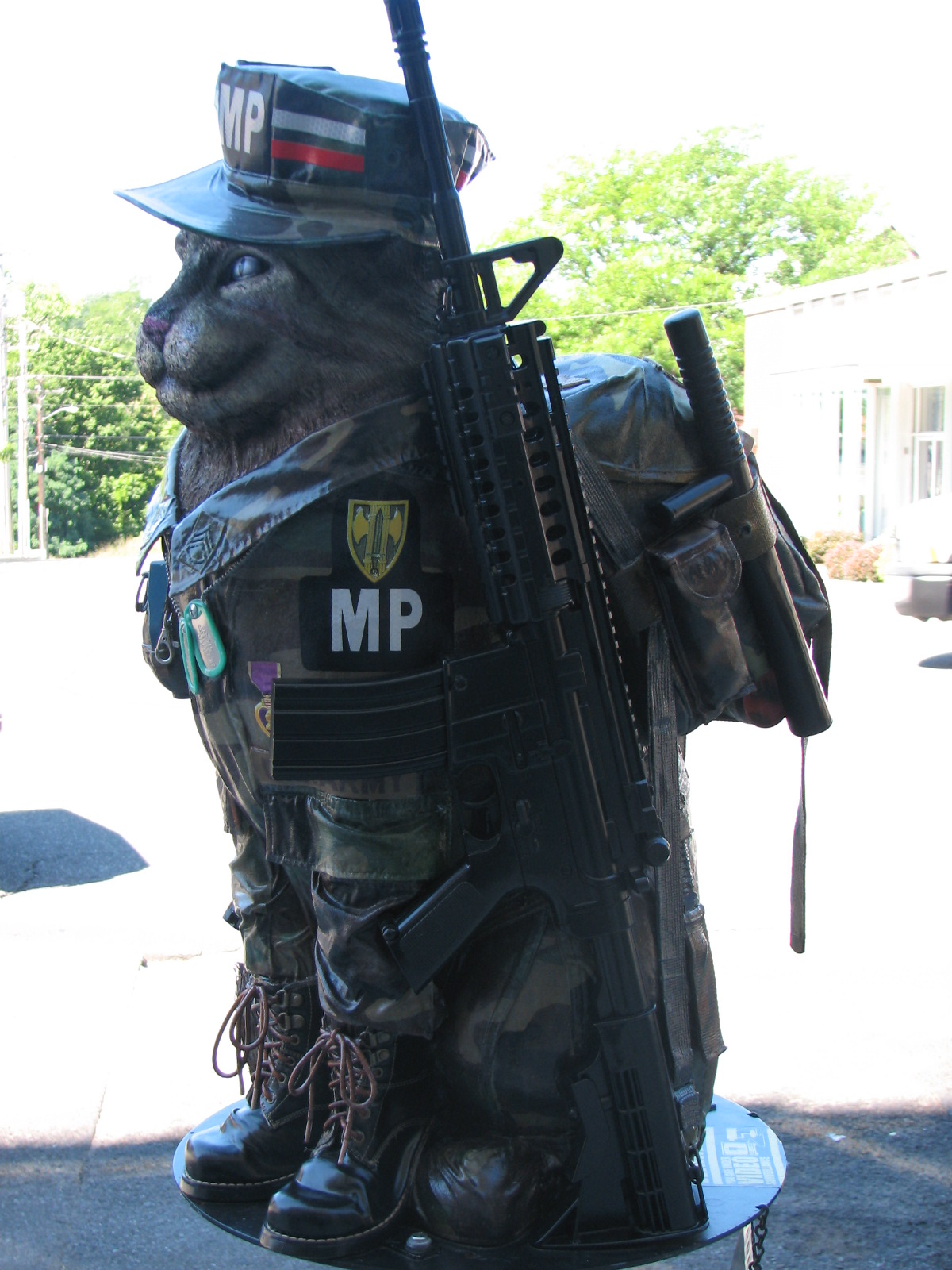 Reynolds Family Wrap Military Cat