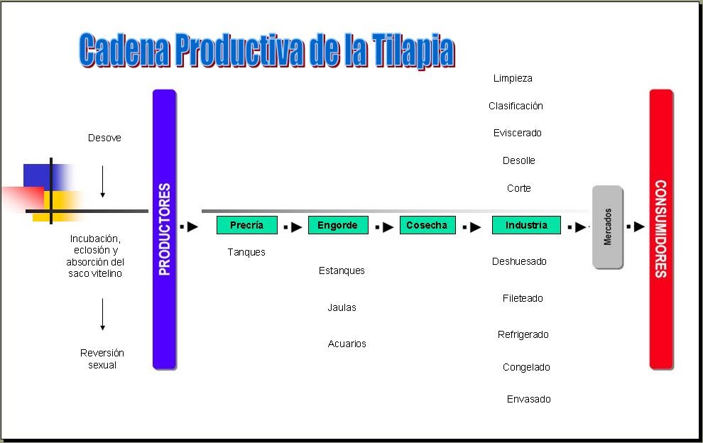 APNA Cadenas productivas