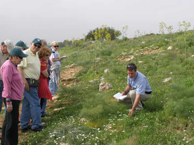 [Gilboa+Iris+Trail+P2210030+(9).JPG]