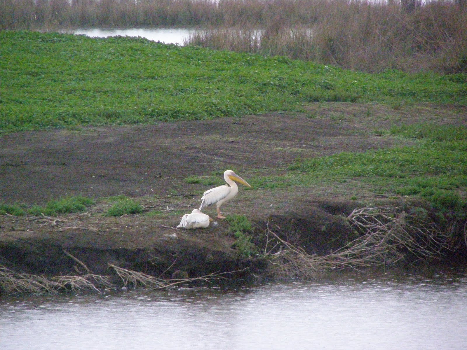 [Agmon+Hula+P2250037+(11).JPG]