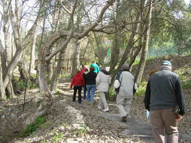 [Blue+Valley+P2250006+(9).JPG]