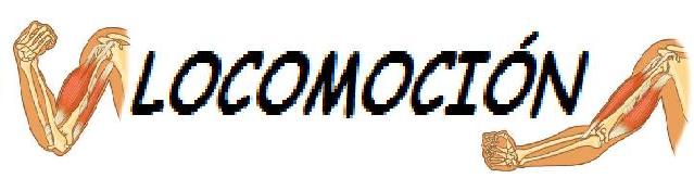 LOCOMOCION