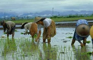 Cuaca Dan Iklim Serta Pengaruhnya ~ Anak Peneroka