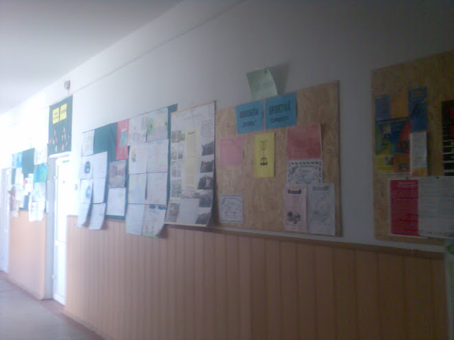 pe coridor stau la loc de cinste creatiile elevilor