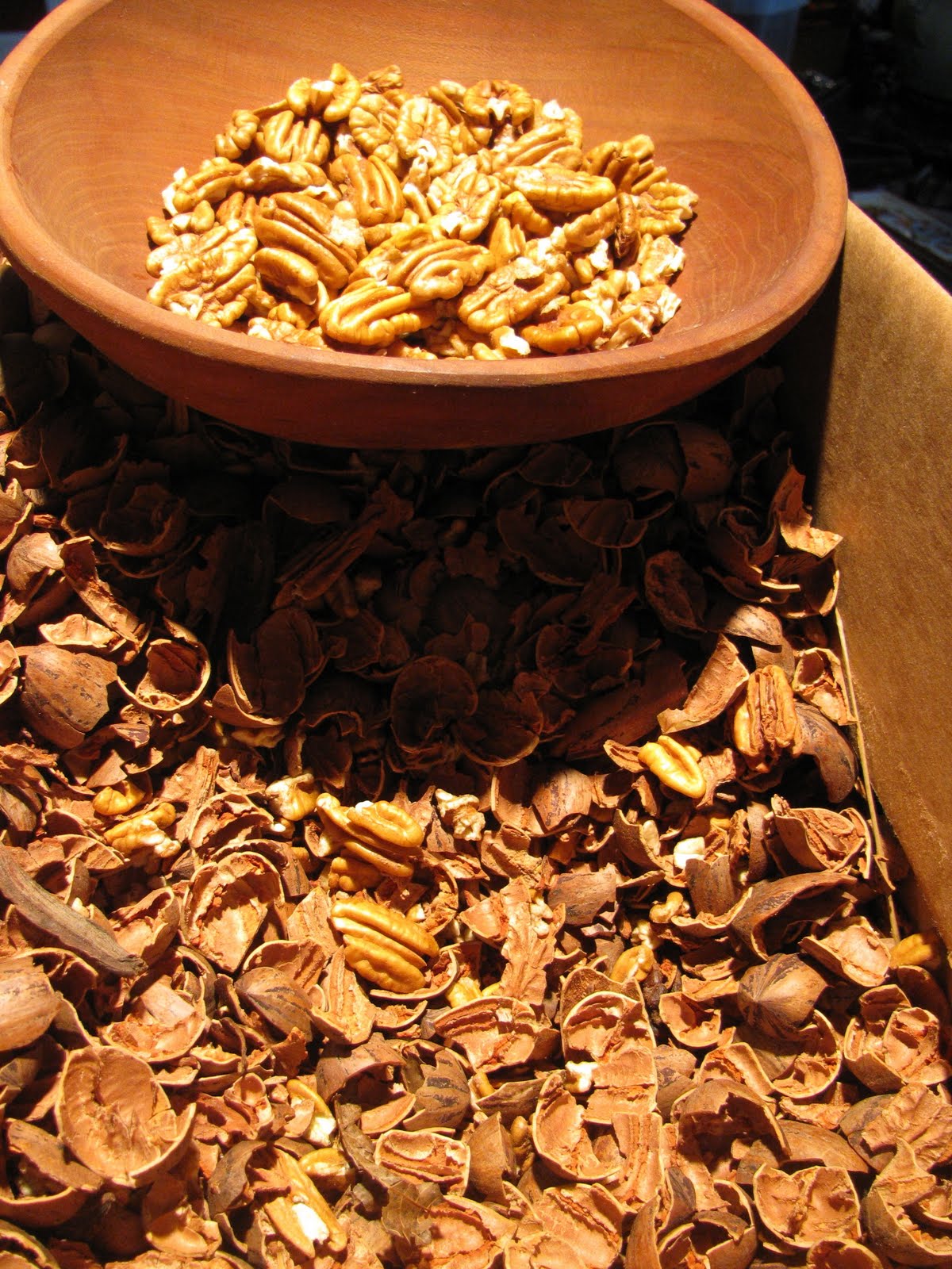Pecans At Aldi - tednh97