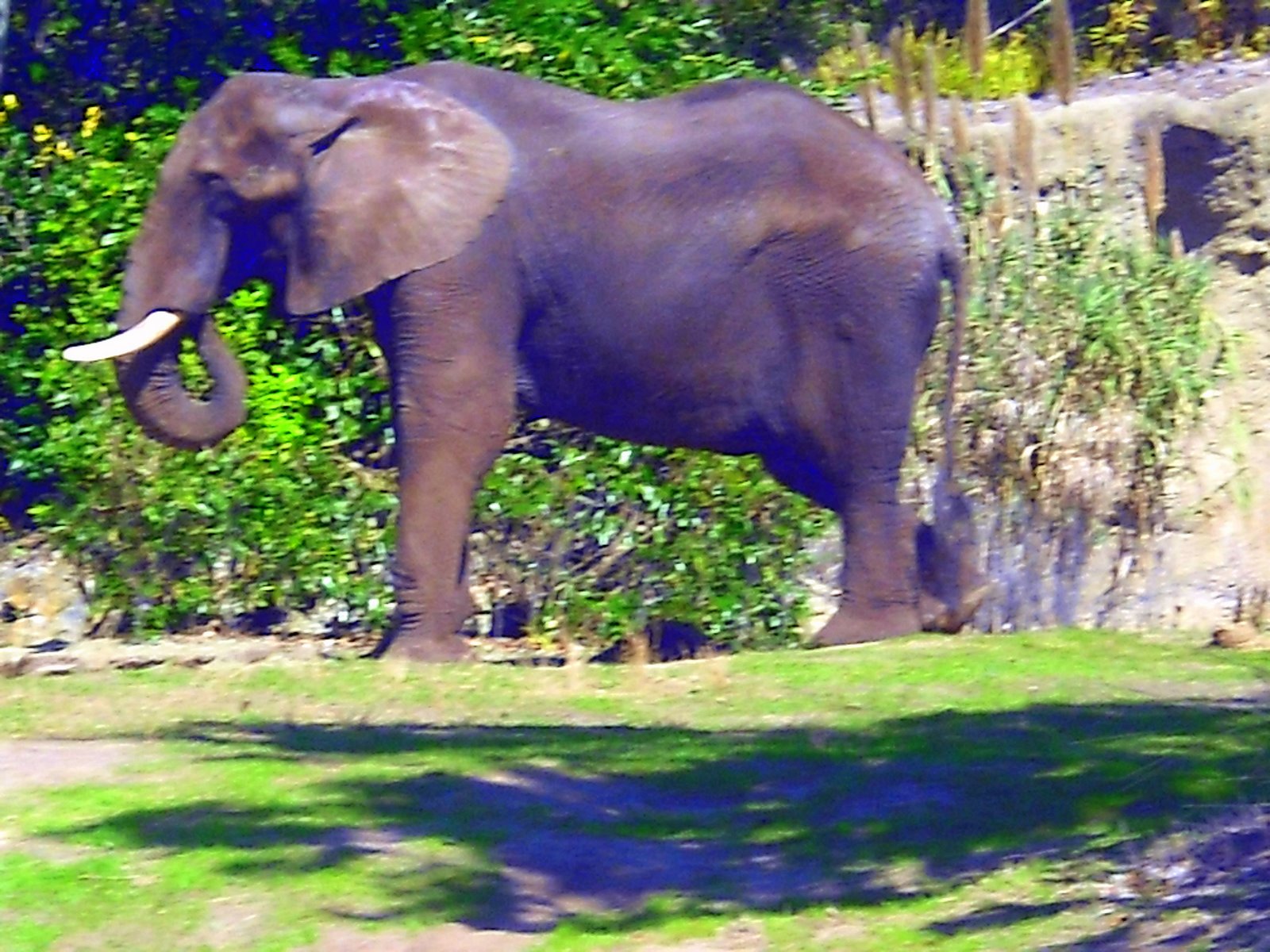 [Disney+'09+388.JPG]