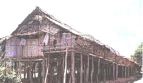 Kongsi ilmu: RUMAH PANJANG (Long House)