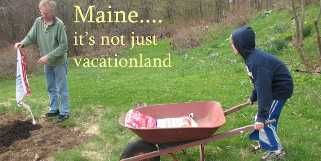 Maine... It's Not Just Vacationland