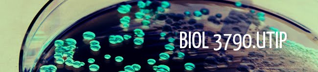 BIOL3790UTIP