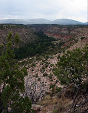 New Mexico landscape