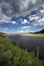 Flat Creek, outside Jackson, Wyoming