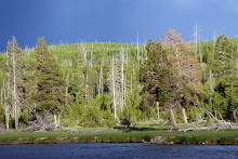 Madison campground