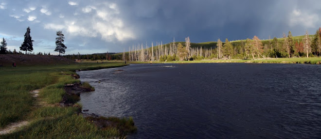 Madison River