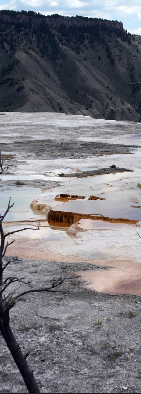 Mammoth Springs