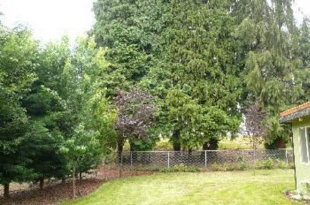 [Yeoman+Backyard.jpg]