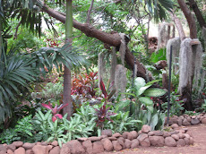 Honouliuli Ewa Garden