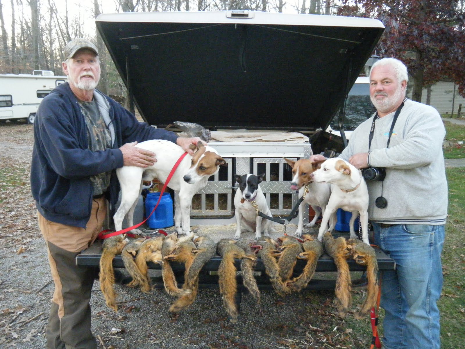 Galla FeistSquirrel Dog Hunting Photo Gallery Ohio Hunting