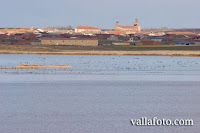 Lagunas de Villafáfila