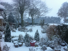 My garden in a blanket of snow!