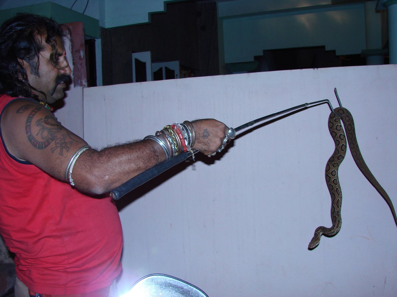 Snake Shyam, Mysore India