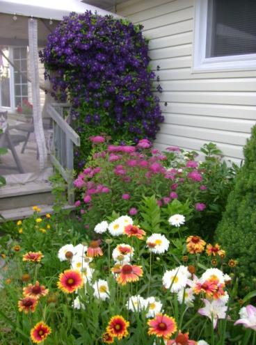 Best Favorite Flowers In The World: Best Flowers For Your Garden