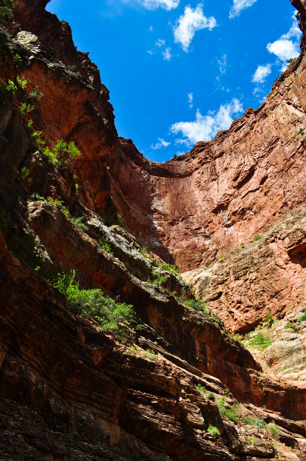 Beyond The Meridians Grand Canyon National Park Pictures