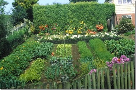 Venturada ¡ LIBRE !: El huerto en casa