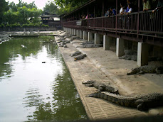 BANGKOK -THAILAND DECEMBER 2008