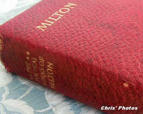 [Milton+1.JPG]