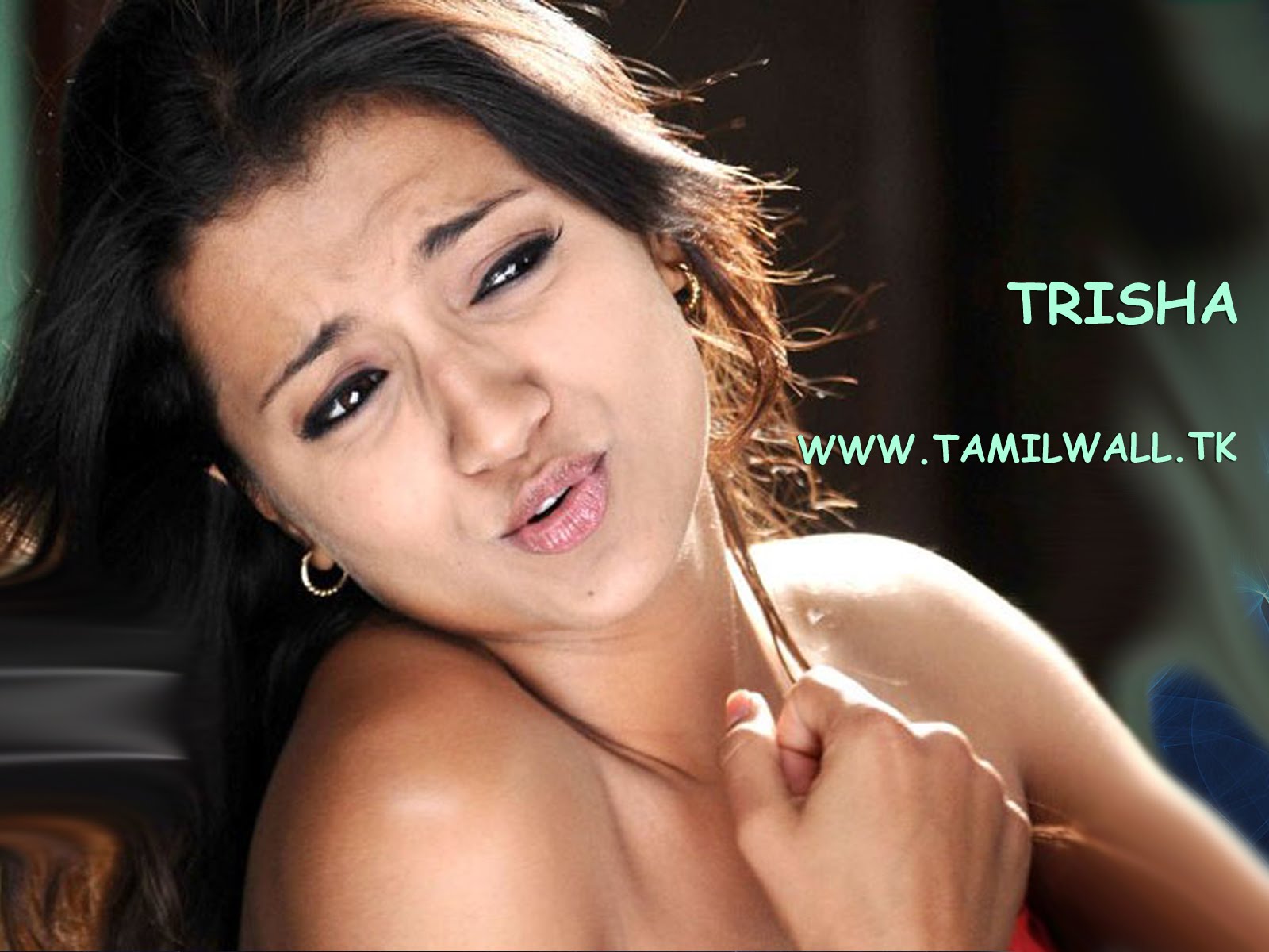 Actress Trisha Nude 25