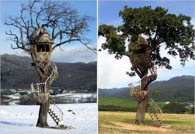 tree house