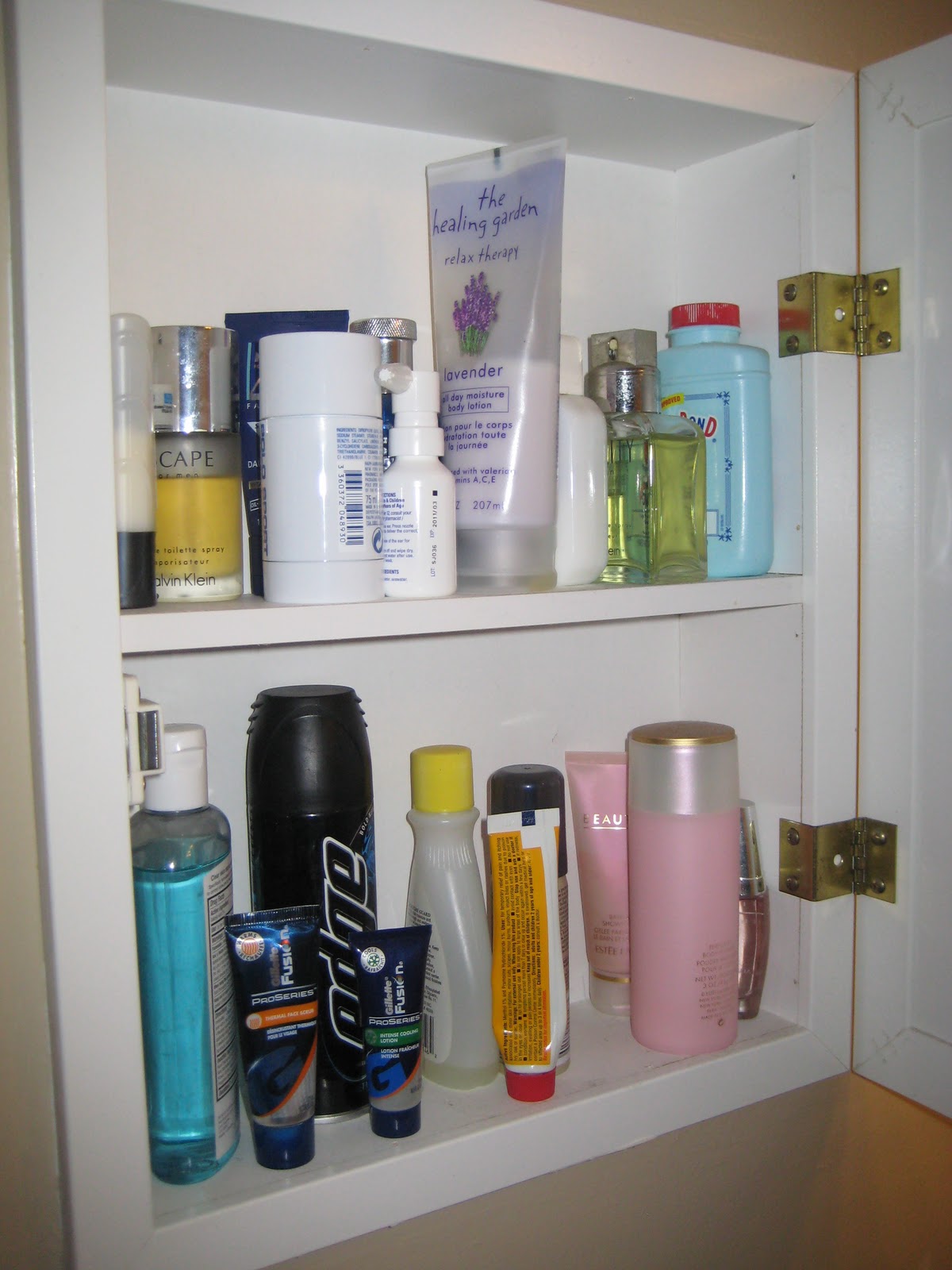 Making Our House A Home Day 13 Medicine Cleanout