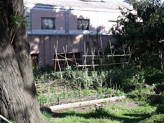 NATURALEZA Y CULTURA: La Quinta Trabucco