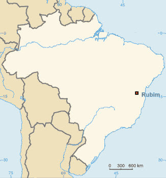 Brazil map blank
