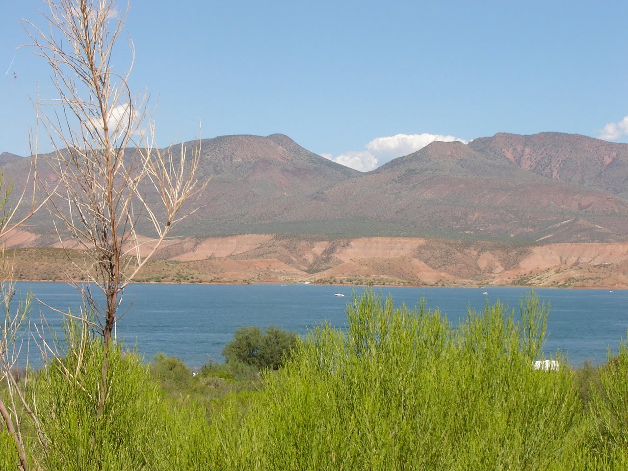 Journeys and Wanderings Roosevelt Lake and the Tonto Basin