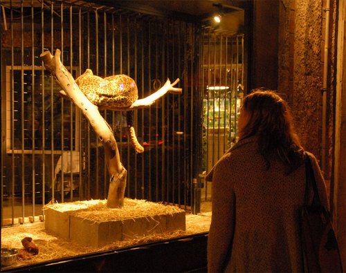 [villagepetstore2-thumb.jpg]