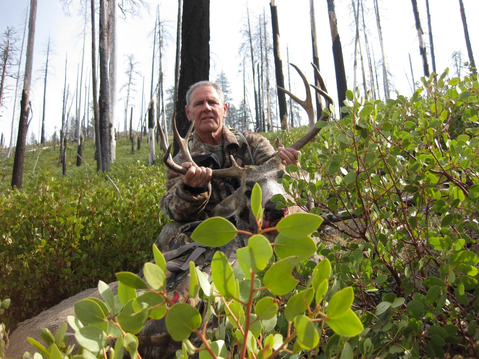Stacked Racks Hunting Stacked Racks Family