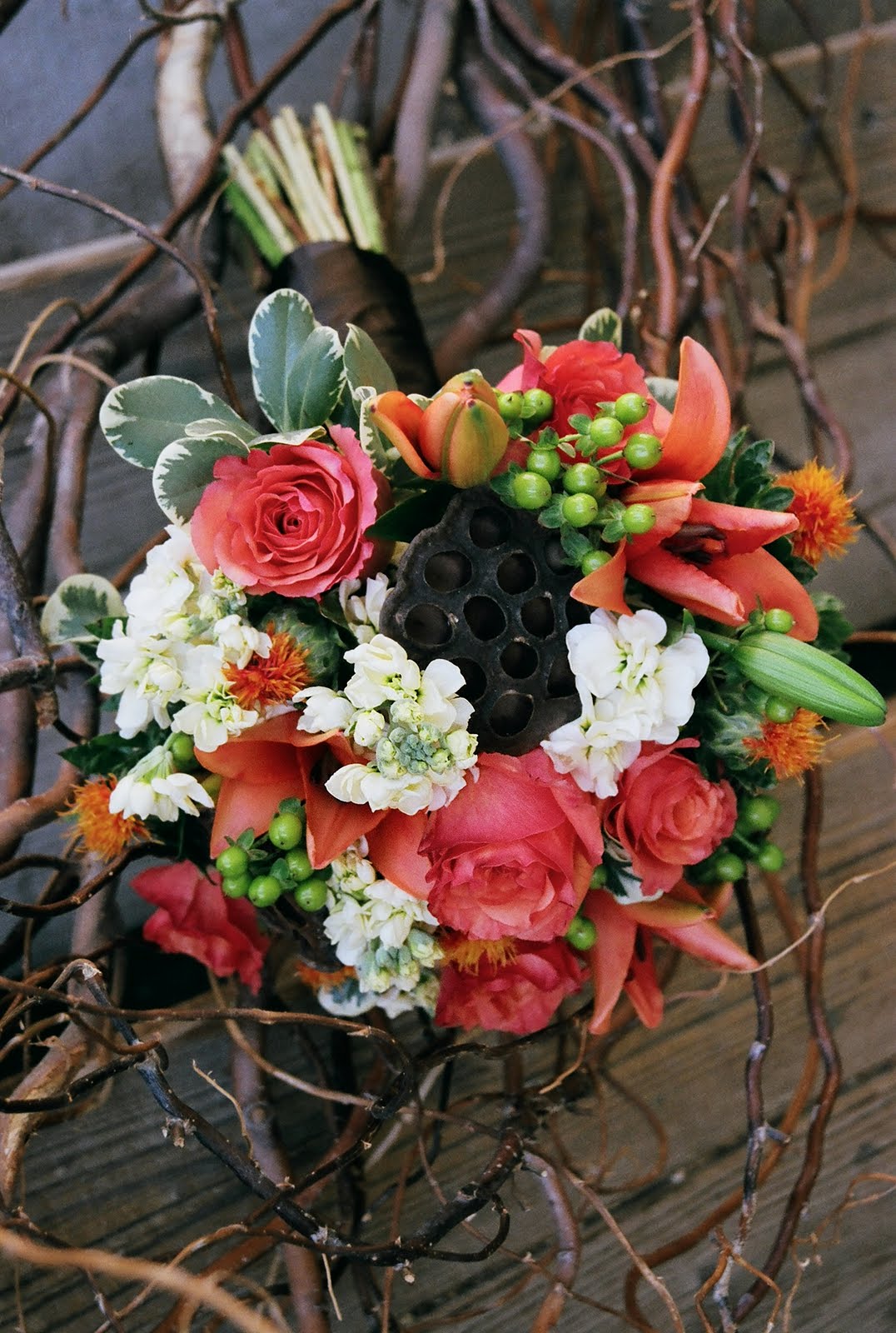 Calie Rose: Fall Splendor