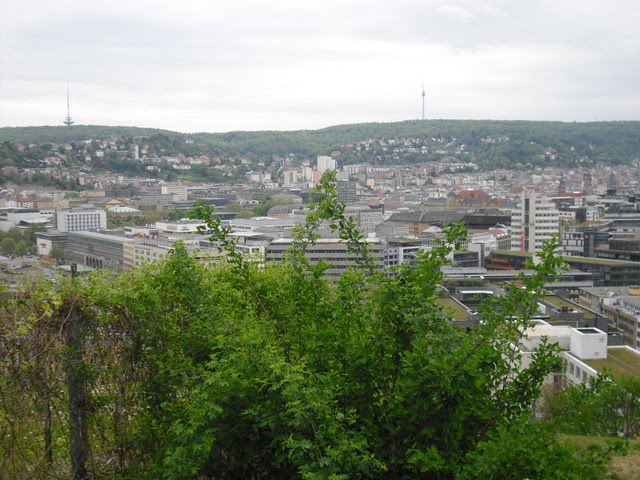Wege In Der Region Stuttgart Aussicht Vom Chinesischen Garten Auf