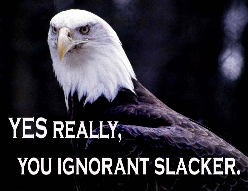 [yes-really-you-ignorant-slacker.jpg]