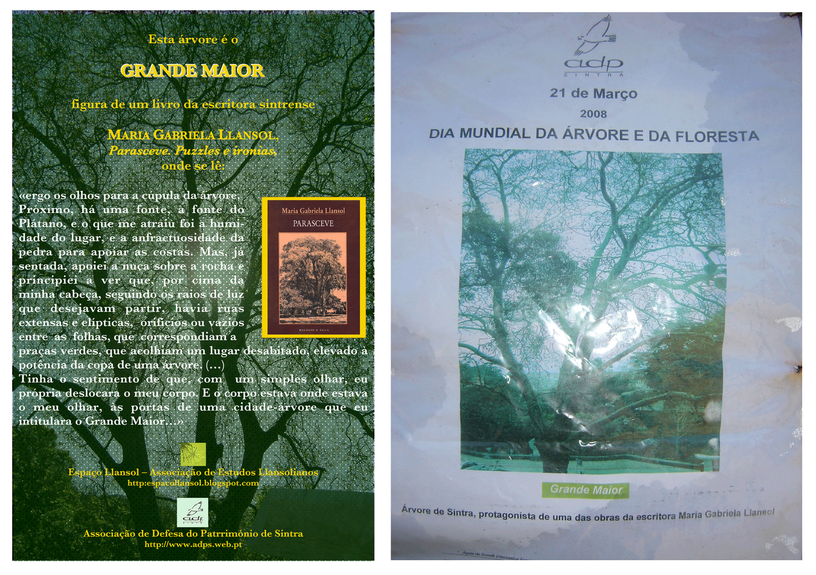 [Cartazes-dia-arvore.gif]