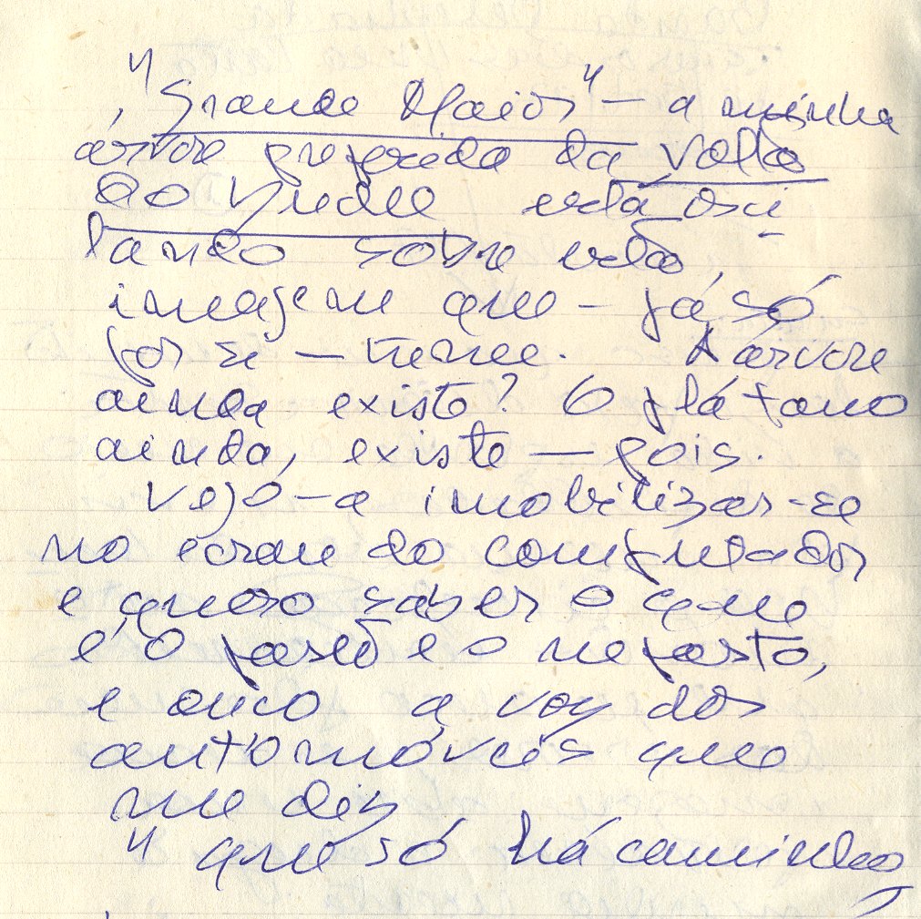 [Grande+Maior-cad.1.48-02.jpg]